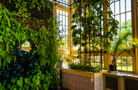 Coles Meads orangery installation